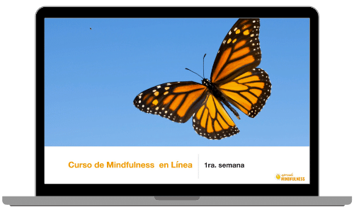 Curso de Mindfulness en Linea