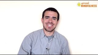 Otra lección de mis maestros Zen!